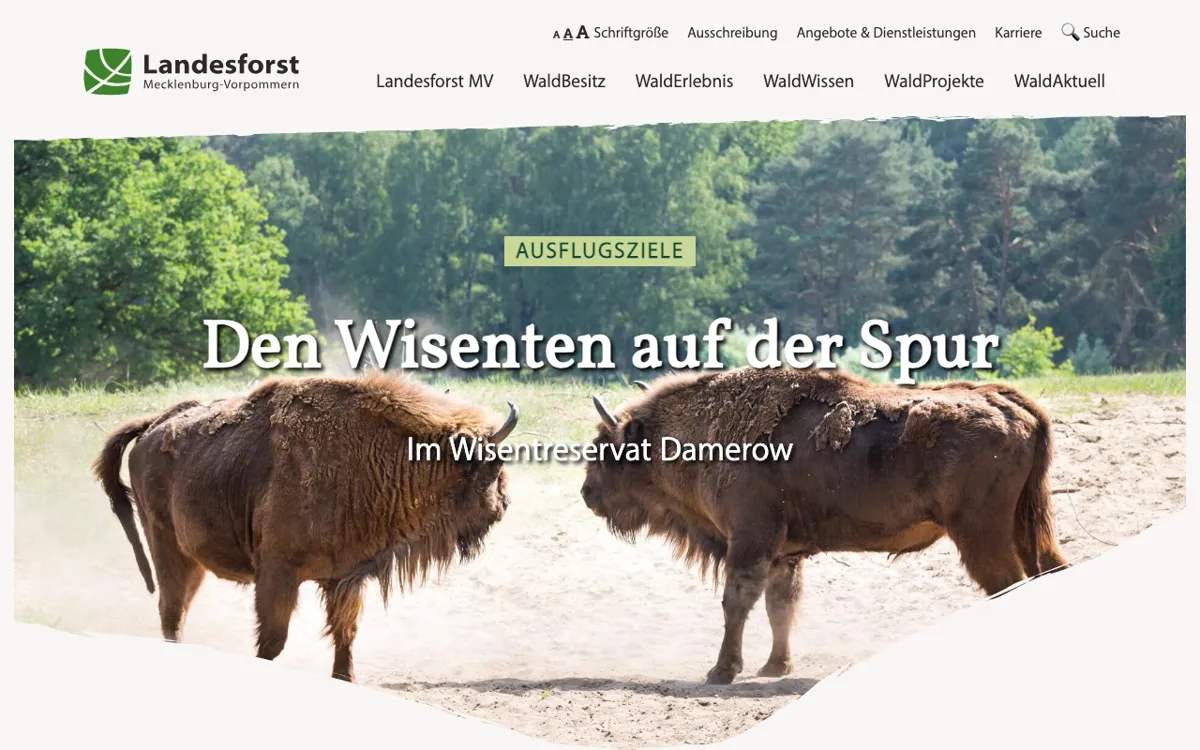 Damerower Werder