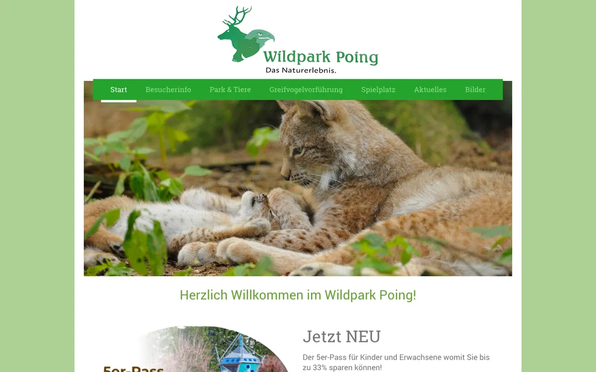 Greifvogelschau