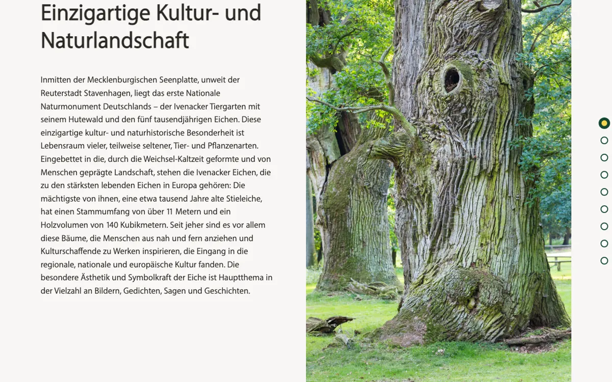 Ivenacker Tiergarten