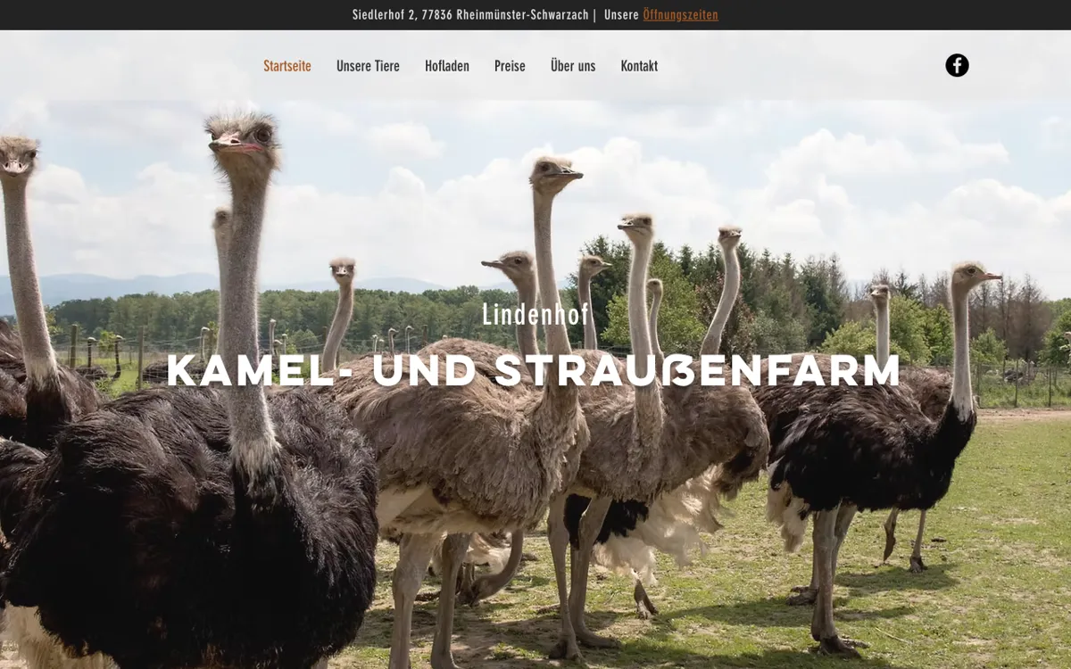 Kamel- und Straußenfarm Lindenhof