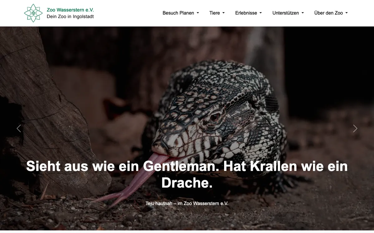 Kleinzoo Wasserstern