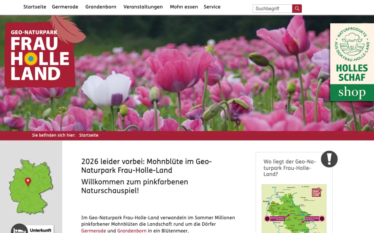 Mohnblüte in Germerode