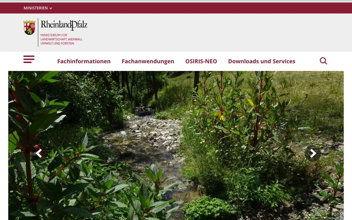 Naturschutygebiet Gans