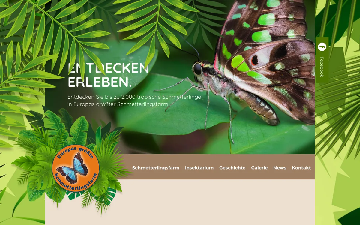 Schmetterlingsfarm