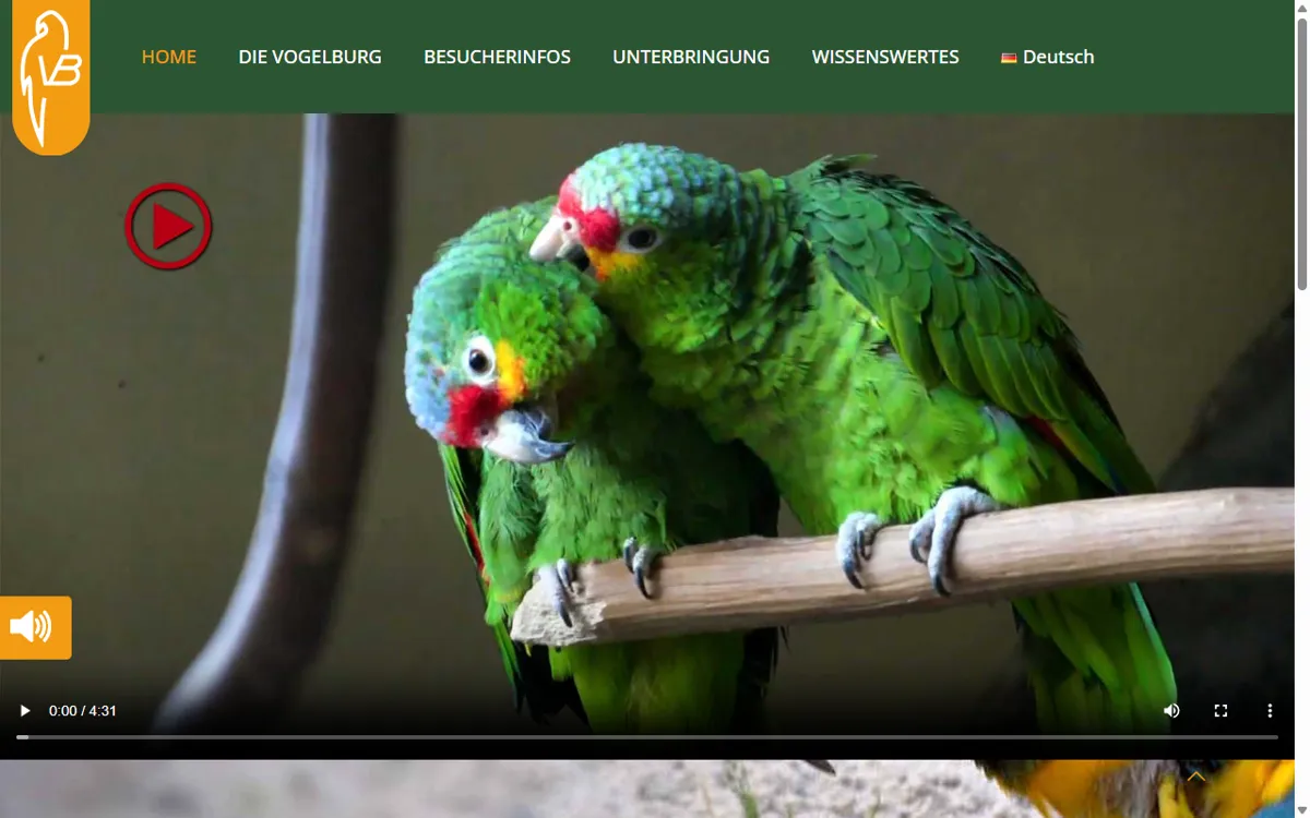 Vogelburg Weilrod