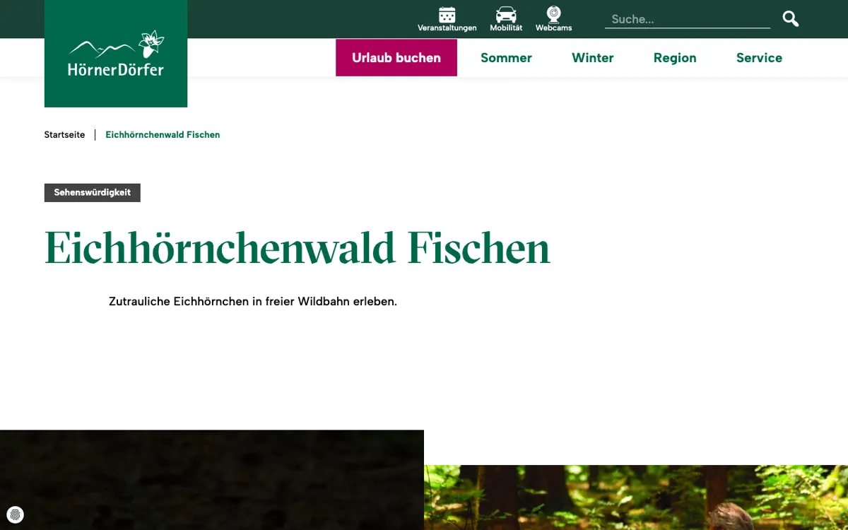 Weidachwald Fischen