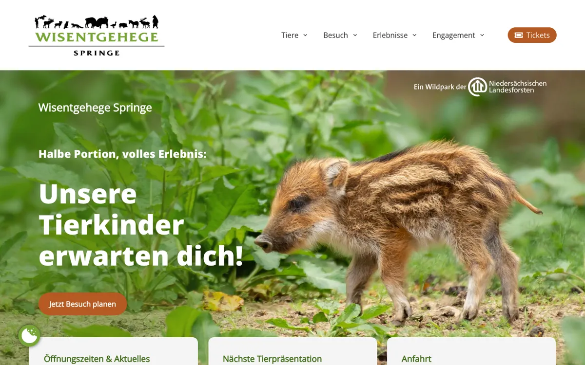 Wisentgehege Springe